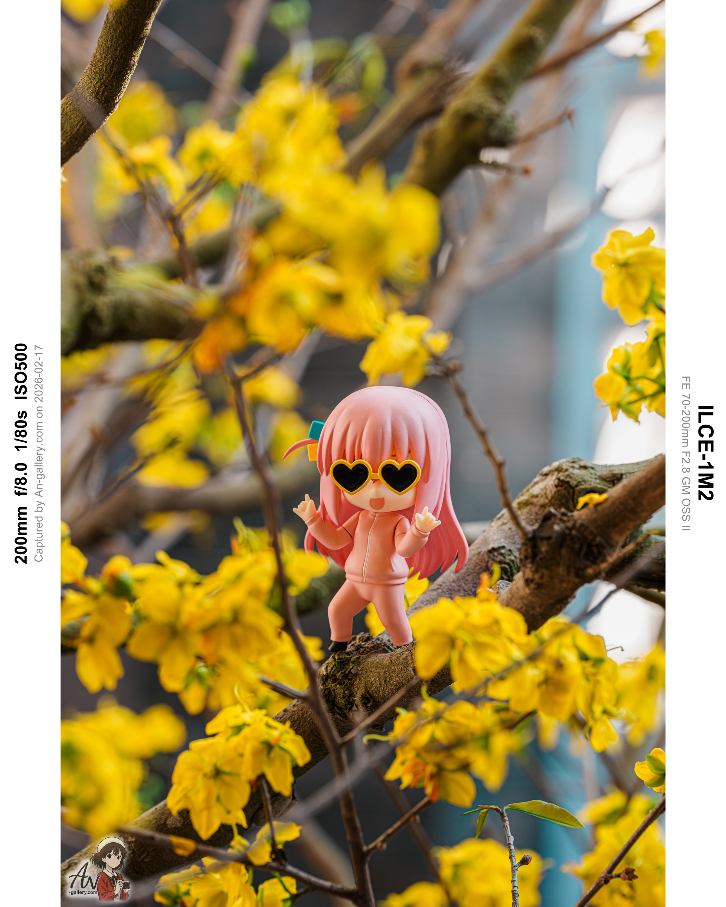 Figure photography Feb-2026